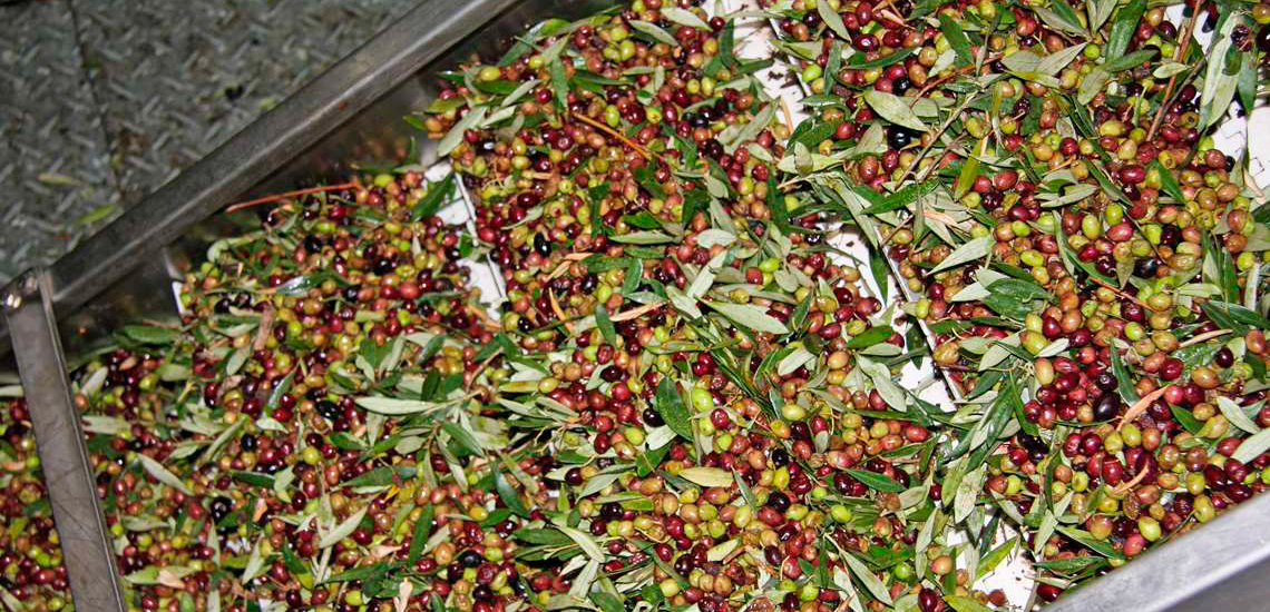 Høy etterspørsel etter olivenolje av god kvalitet i det danske markedet har fristet useriøse aktører til å jukse med merkingen.